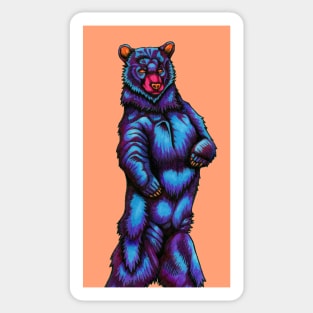 The Totem of the Bear Sticker